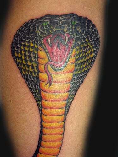 Cobra Png  Cobra Tattoo Designs PNG Image  Transparent PNG Free Download  on SeekPNG